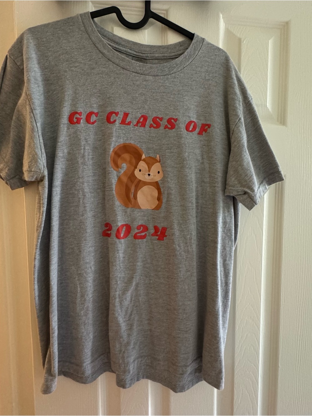 Gray Cotton Tee with Squirrel Graphic - GC Grinnell College Class of 2024